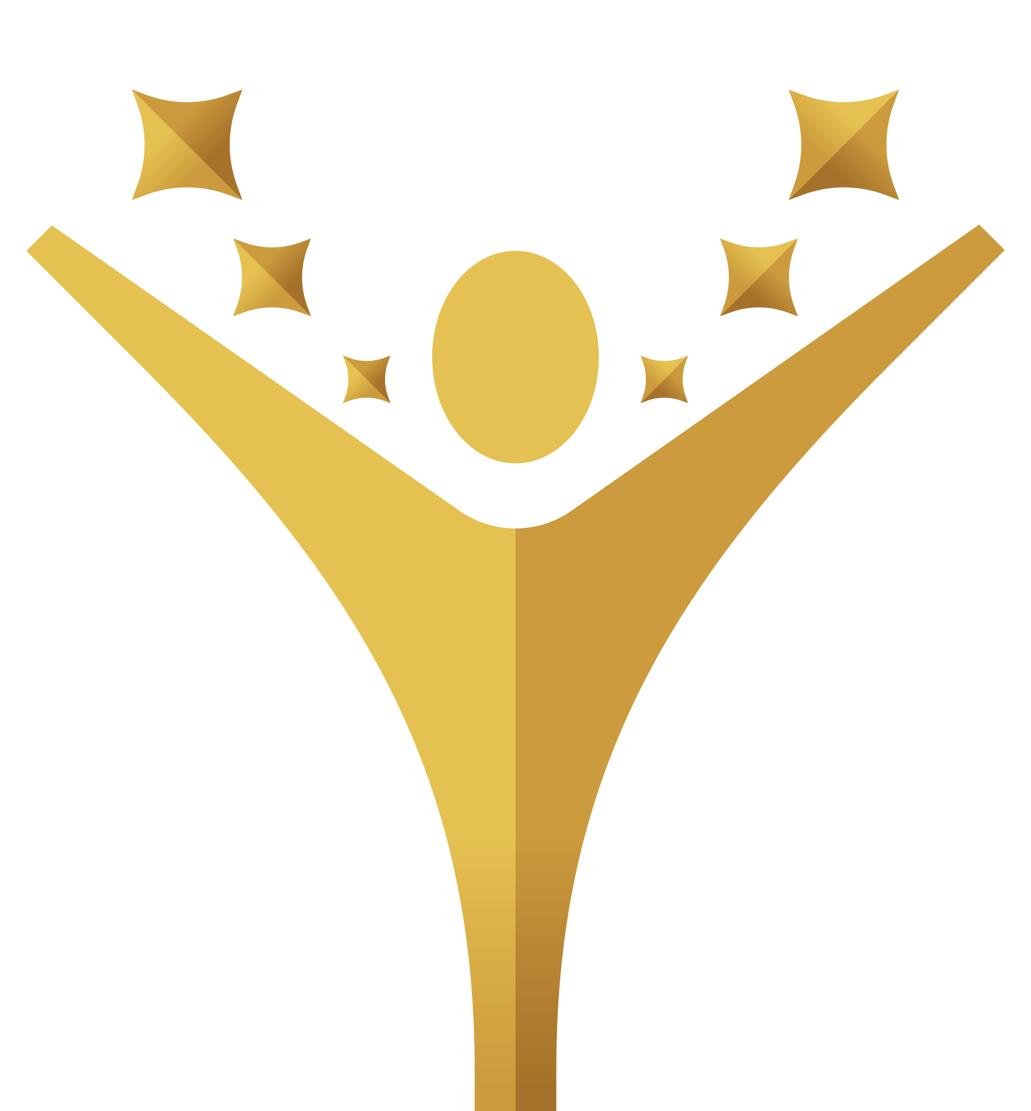 Jonas Tshikundamalema Foundation